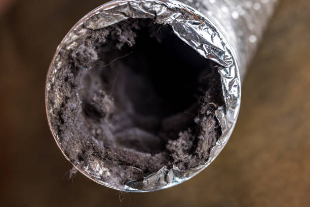 Best Air Duct Cleaning Near Me  in Leona Valley, CA