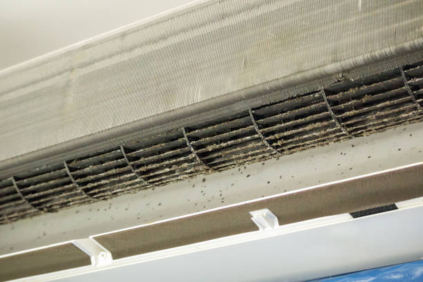 Best Air Duct Cleaning Near Me  in Leona Valley, CA