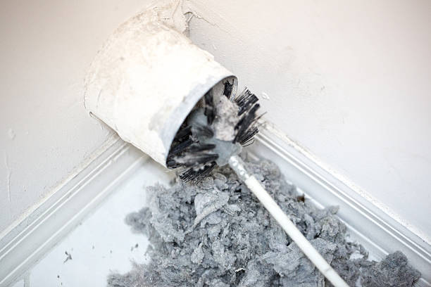 Best Local Air Duct Cleaning Services  in Leona Valley, CA